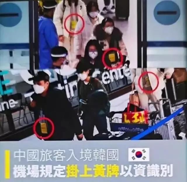 出国游天差地别！韩国如嫌犯挂黄牌检测，泰国副总理亲临机场欢迎