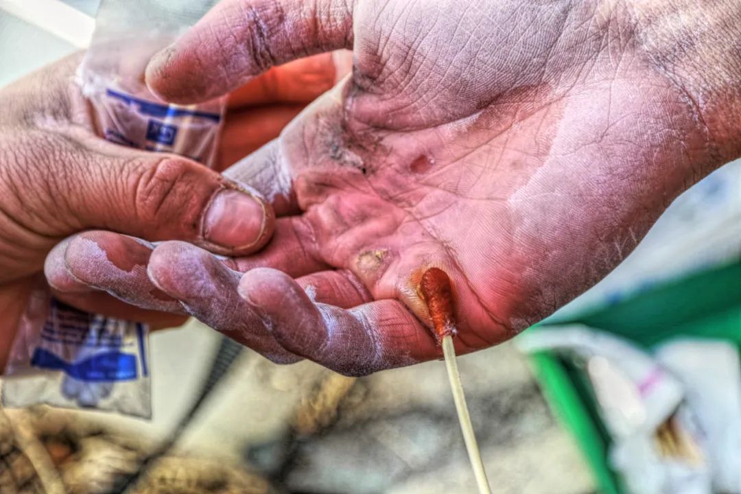 中国军人的代表名词是什么,我国军人的名称