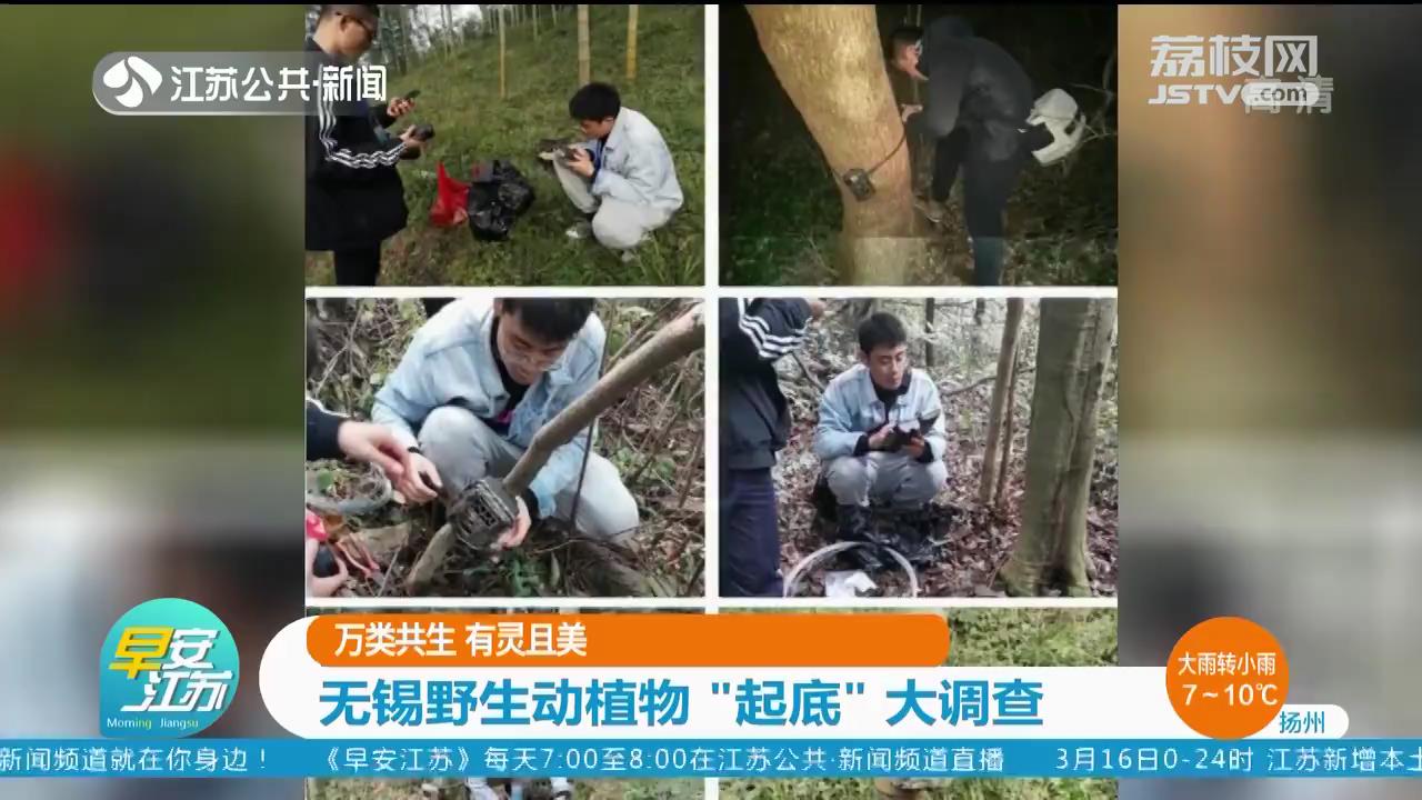 万类共生有灵且美无锡野生动植物“起底”大调查