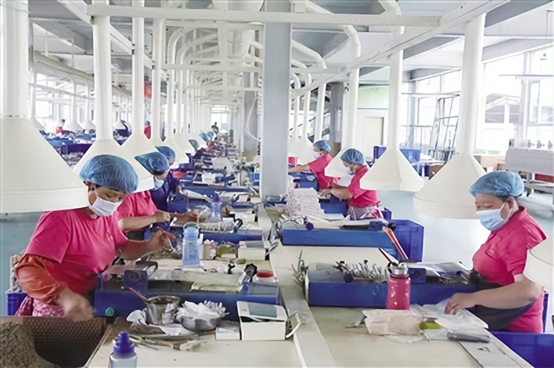 月季又香又漂亮,卧龙月季花