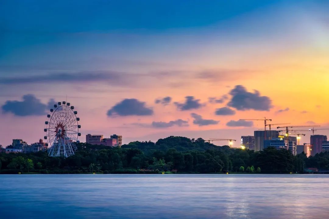 广州免门票的公园有哪些,广州的公园免费景点推荐