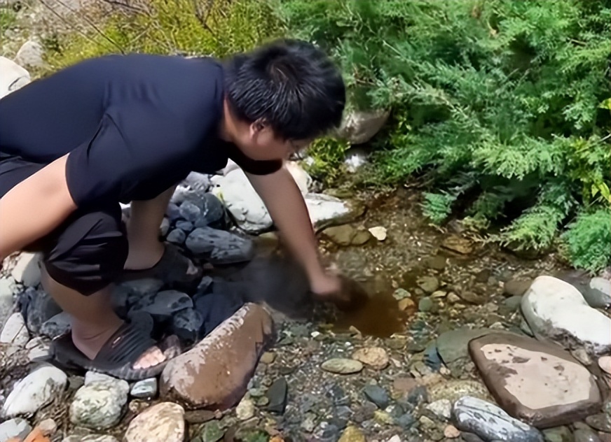 名字都是假的？从默默无闻到“全网打假”，97年会长的跌宕养蜂路