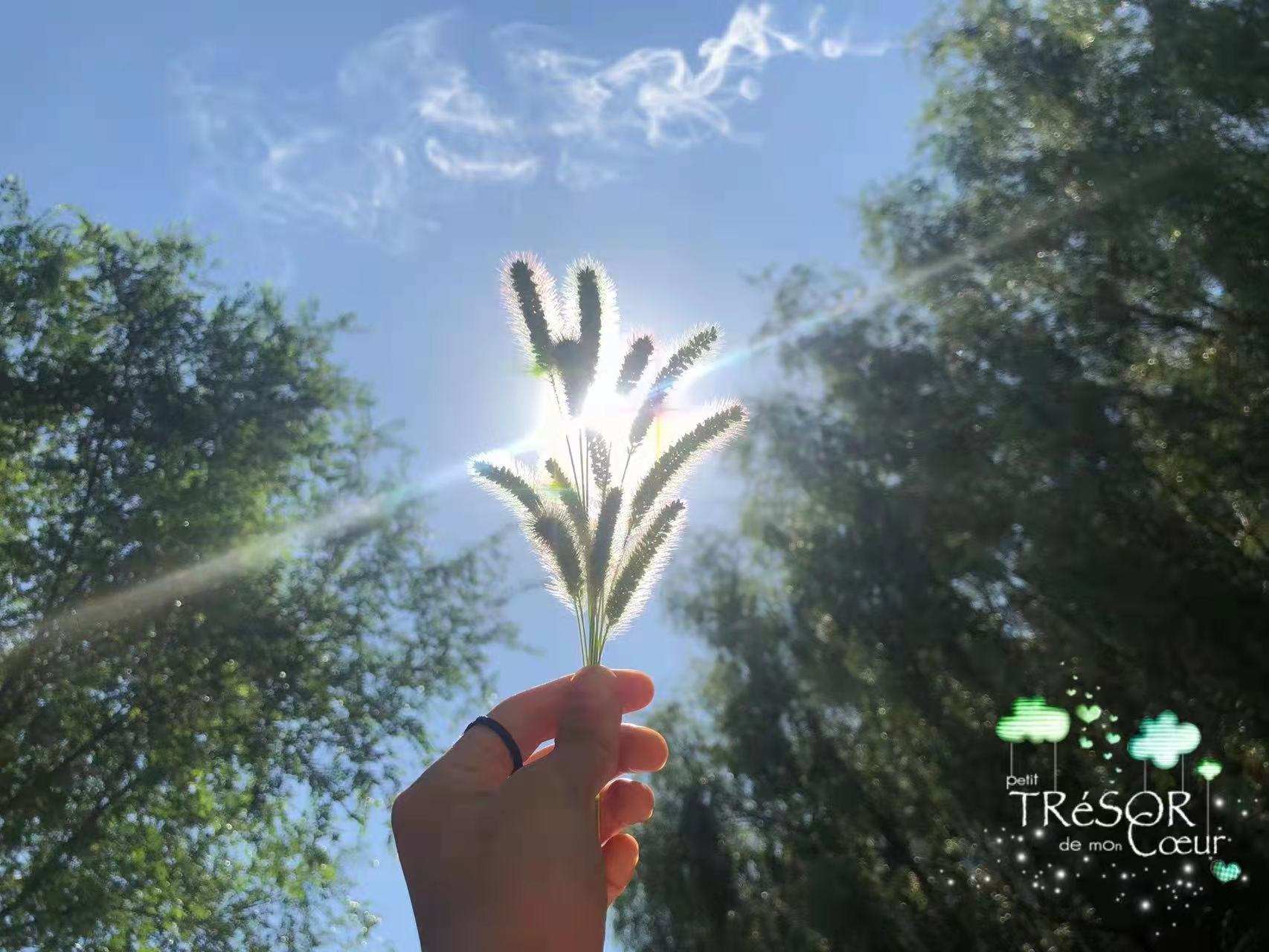 我，东北女孩，18岁结婚生子，婆家很好，但我希望人生可以重来