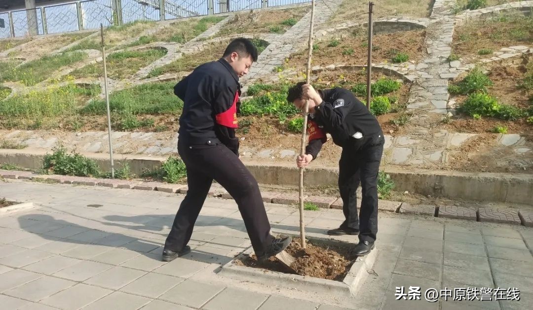 拥抱春天播种希望植树节手抄报,植树节拥抱春天播种梦想主题班会