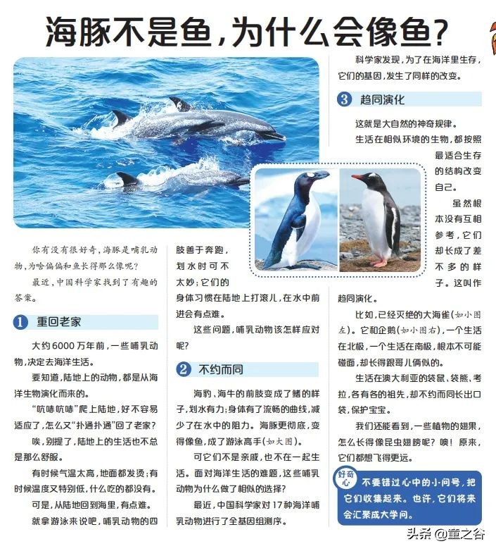 小学生需要知道的时事新闻知识,小学生记录时事新闻播报最新一期