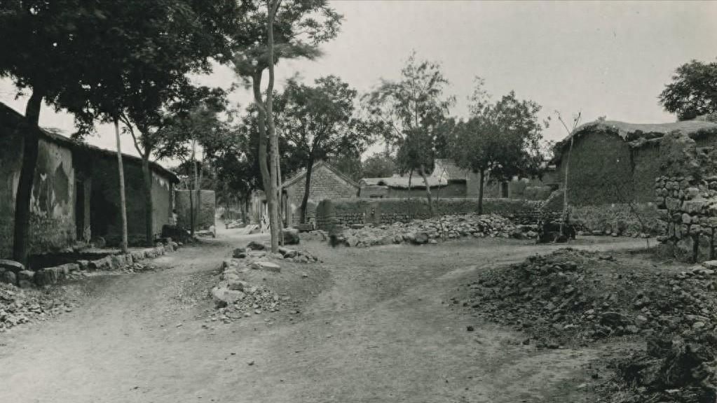 2002年，河南一女孩领黑人男友回家遭反对，婚后才知他哥是奥巴马