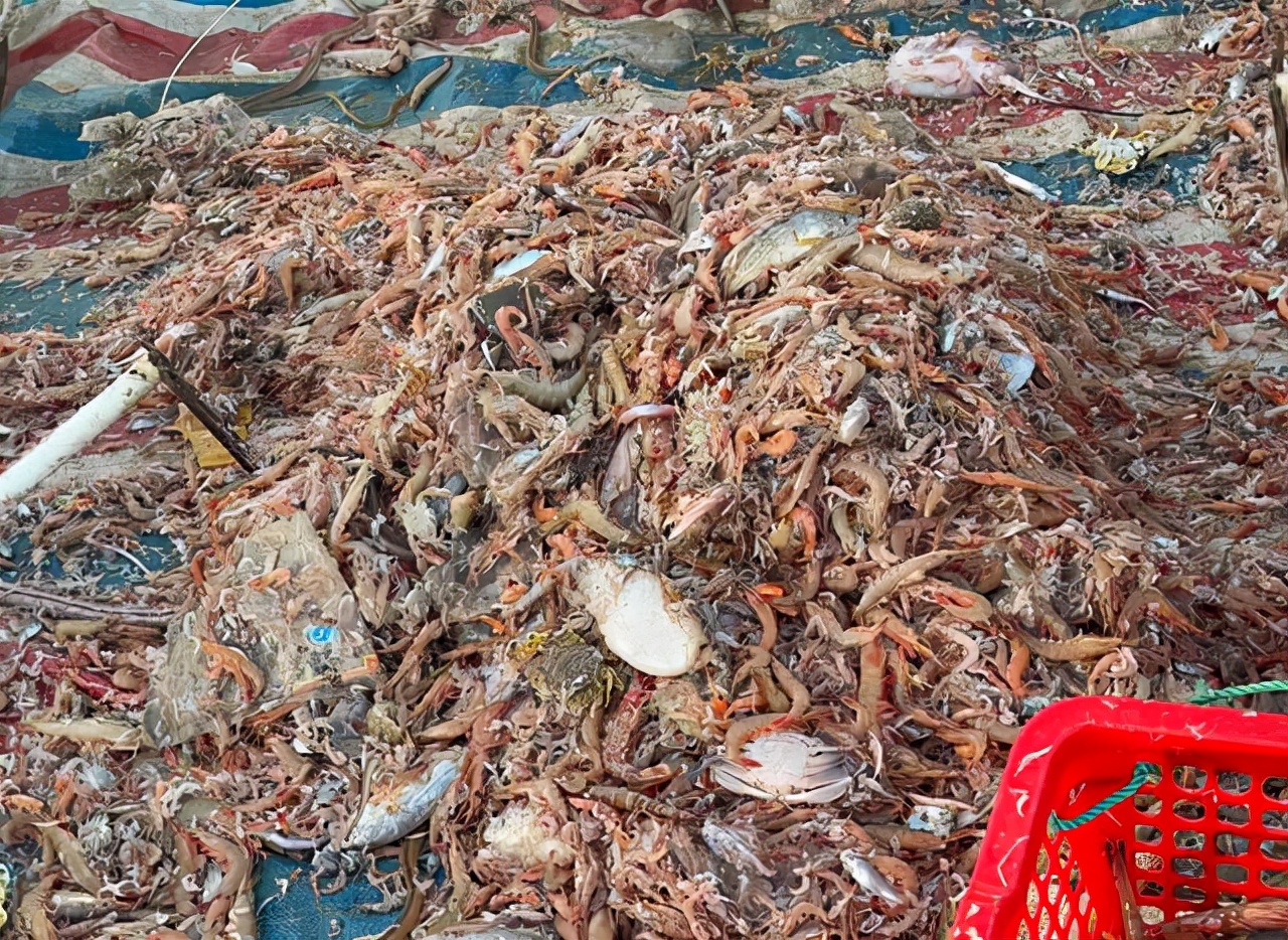 海南印象：女人太能干了，海边晒的大鱼*你干**认识吗？