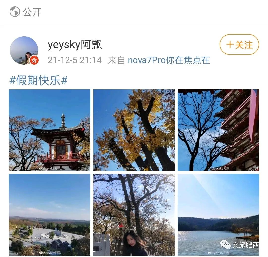 原来，在社交平台中，肥西的真实风景是这样的