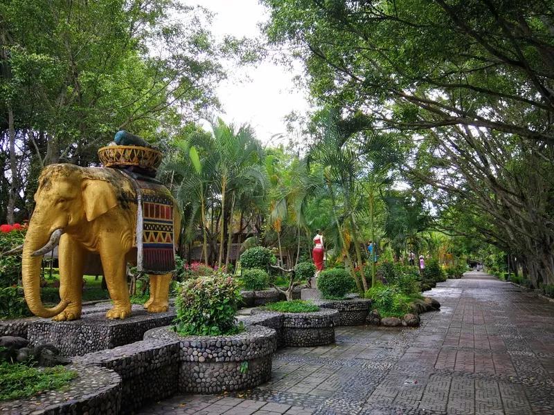 云南西双版纳旅游攻略app,云南西双版纳旅游攻略自由行12月