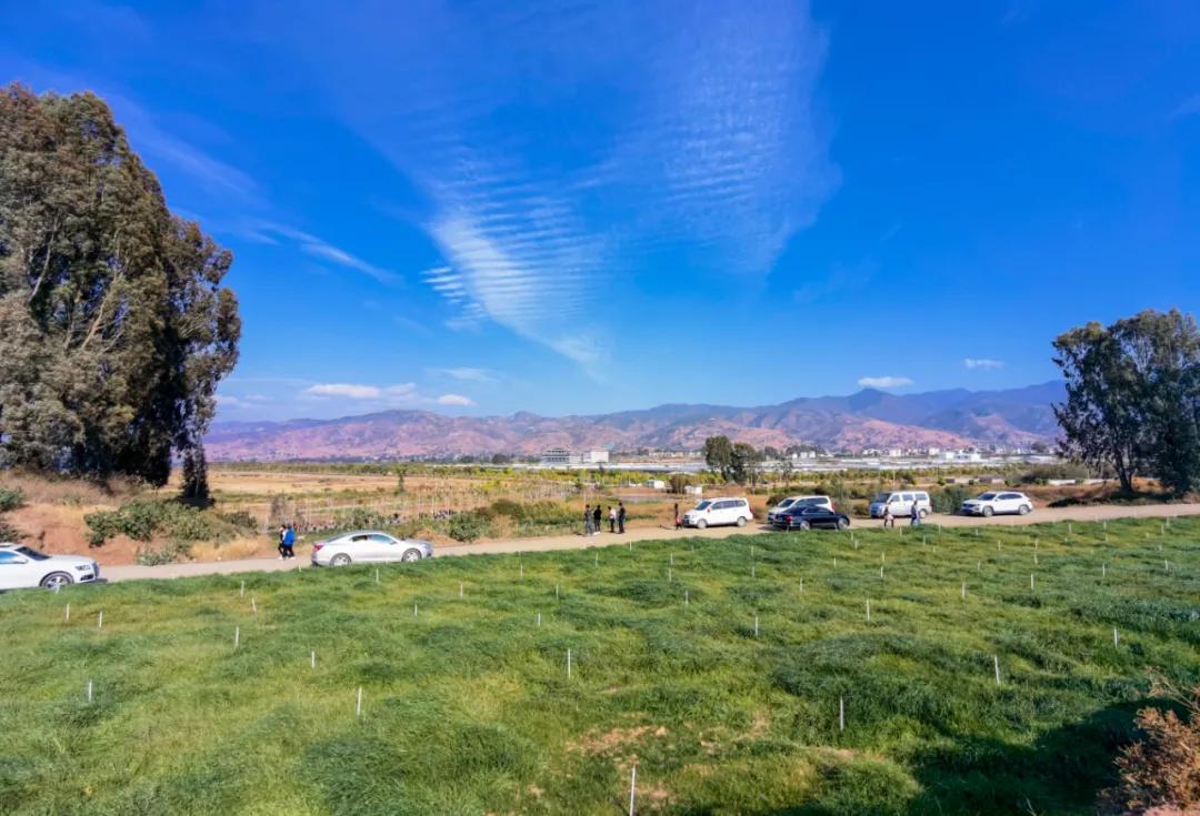 丽水金沙镇旅游景点,永胜引来金沙丽水