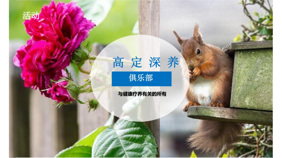 【案例】天目依云推广策略视觉提案