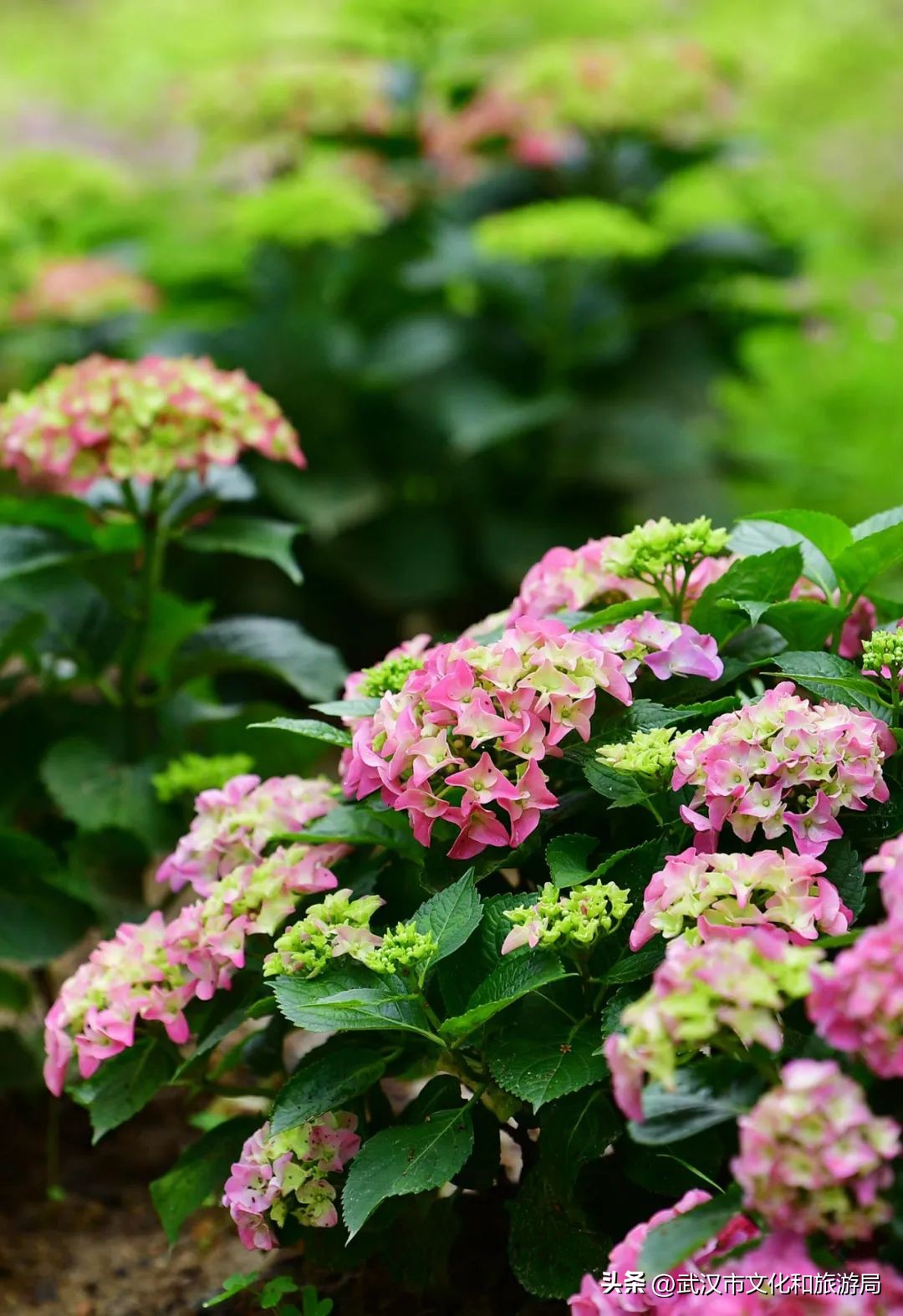 每次去都很「惊艳」的地方是____