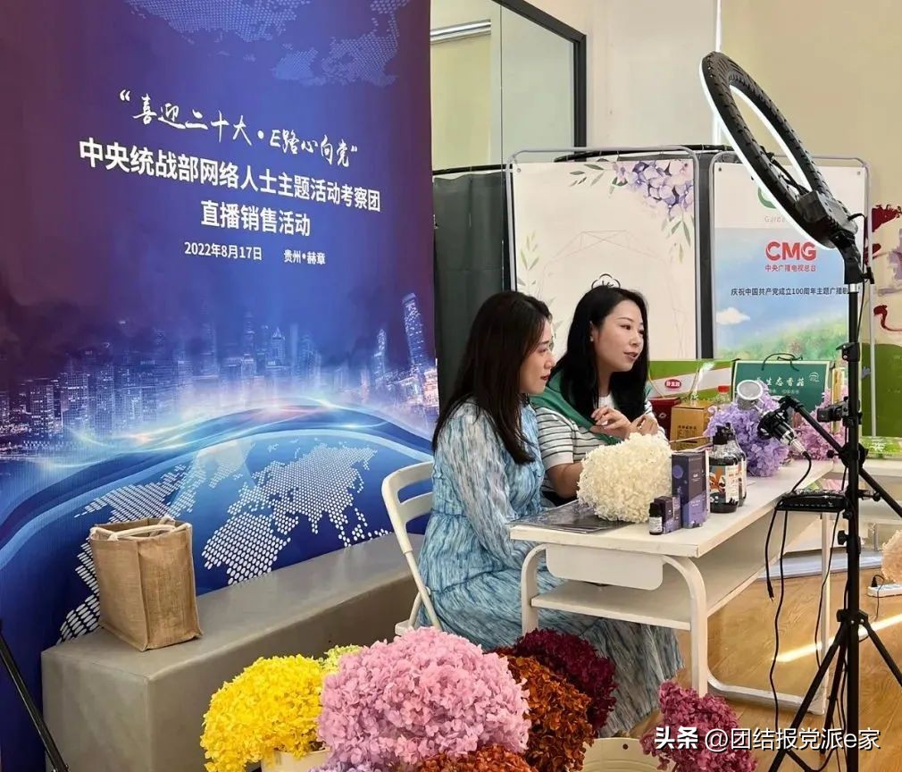 网络人士助力乡村振兴行动,网络人士统战工作如何开展