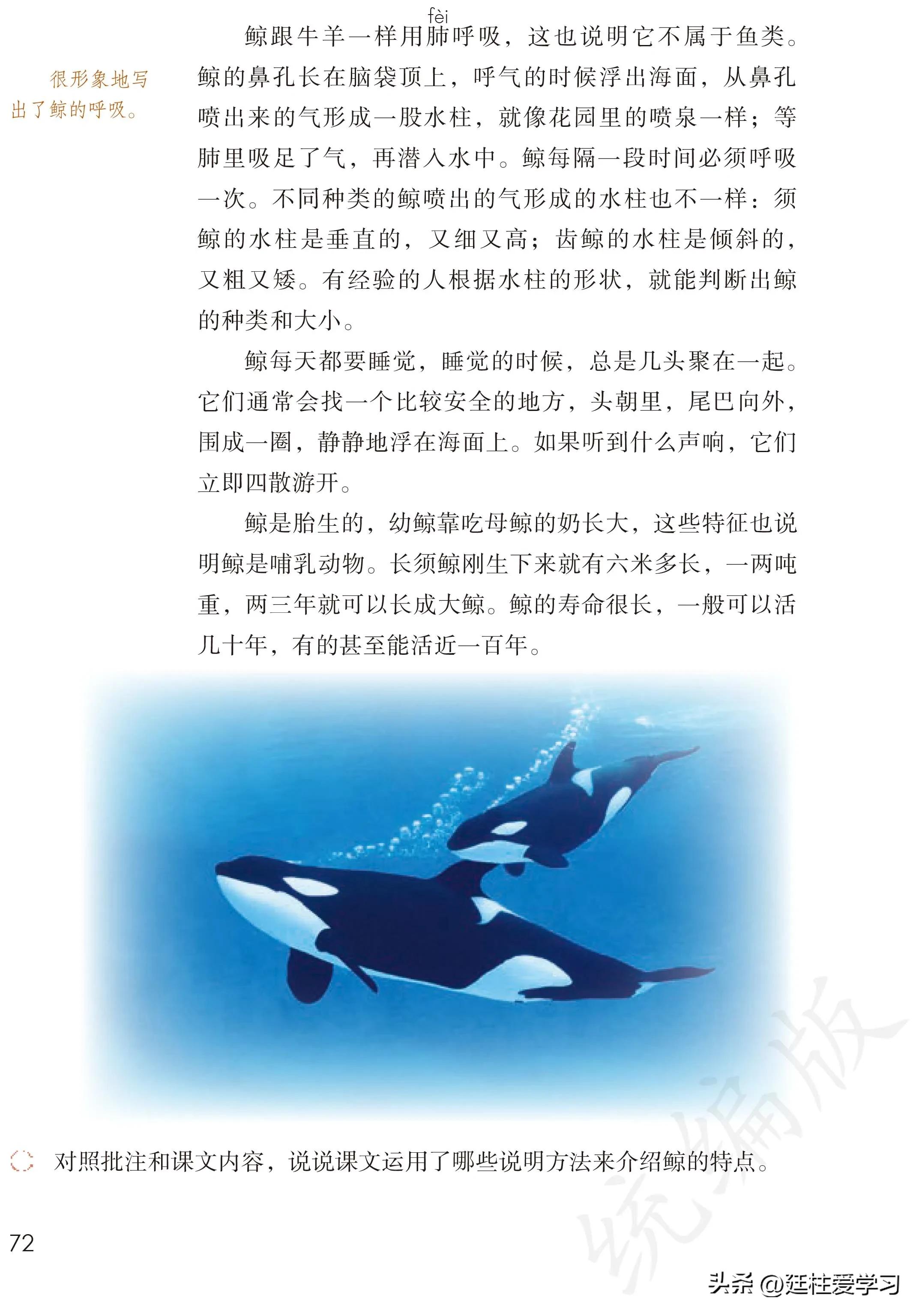 小学语文五年级上册22课,小学语文五年级上册知识点