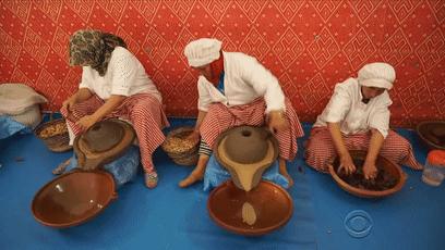 摩洛哥上树的羊,摩洛哥踢足球厉害吗