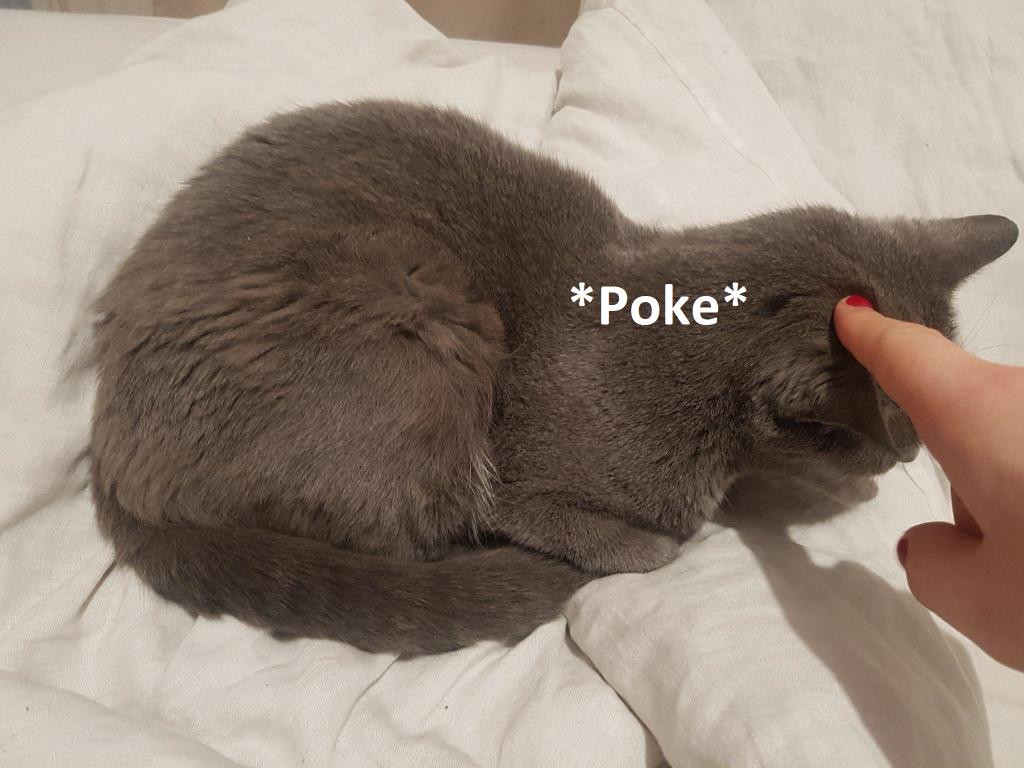 如何证明图灵完备,图灵完备条件判断