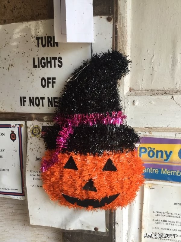 英国陪读活动,英国陪读的日常