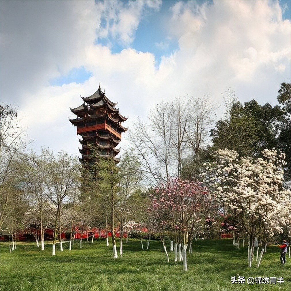 青羊区最美公园景点在哪里,5月份成都市区最美公园