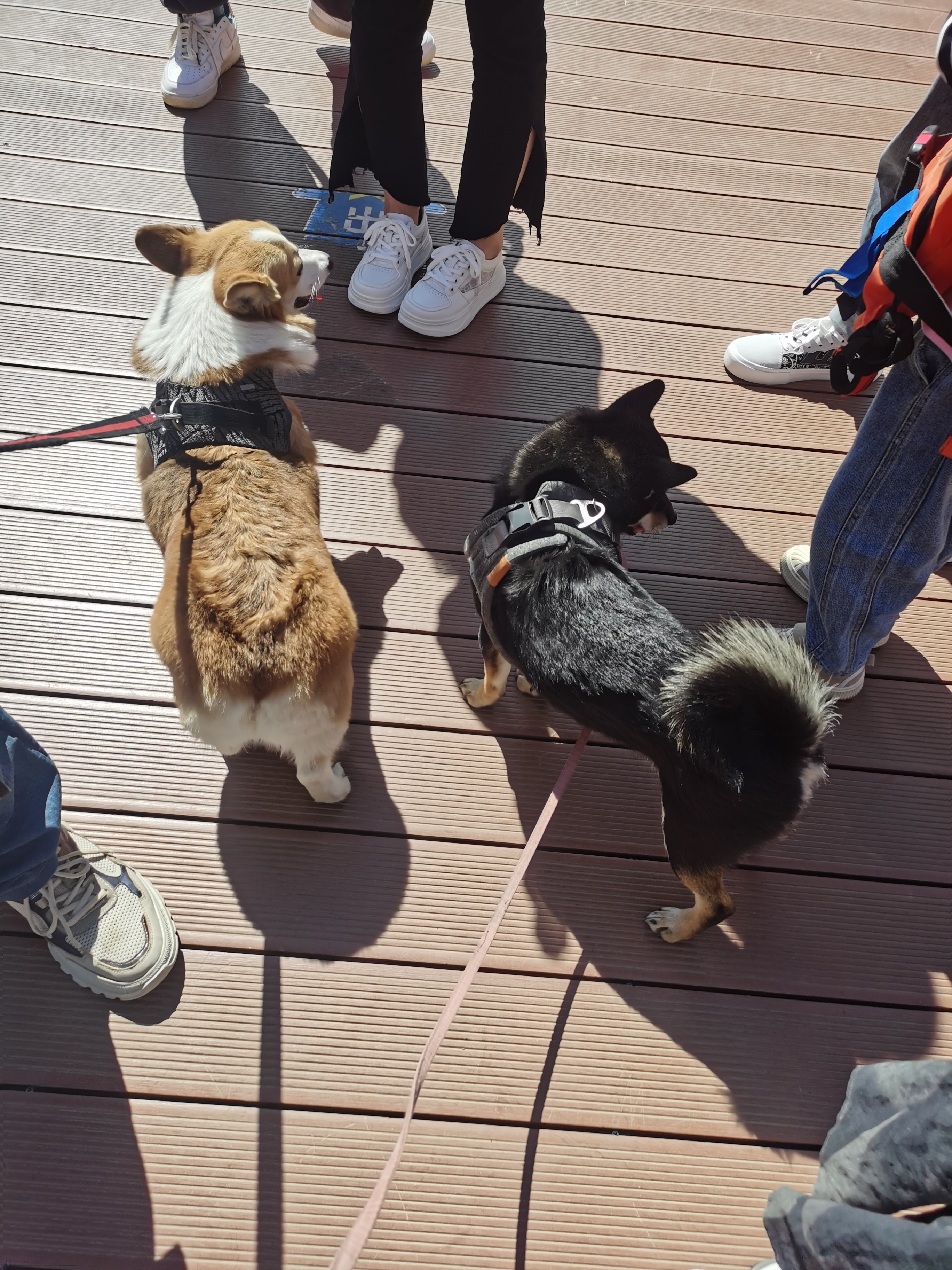 黄花城水长城旅游攻略,行走万里长城之旅