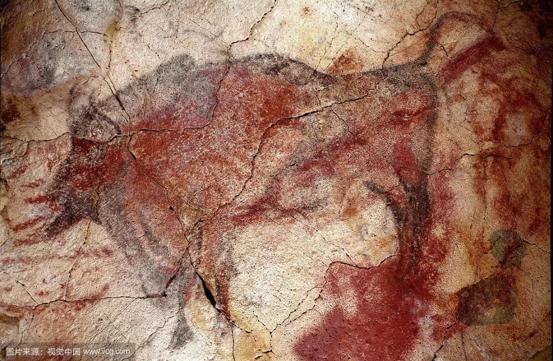 牛是人类最好的朋友,牛为什么是人类好朋友