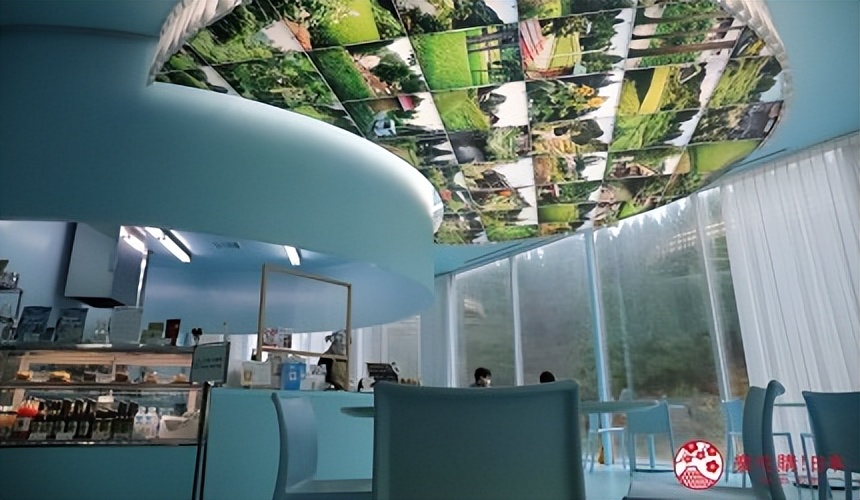 日本新潟饮食,日本新潟县长冈市好吃的