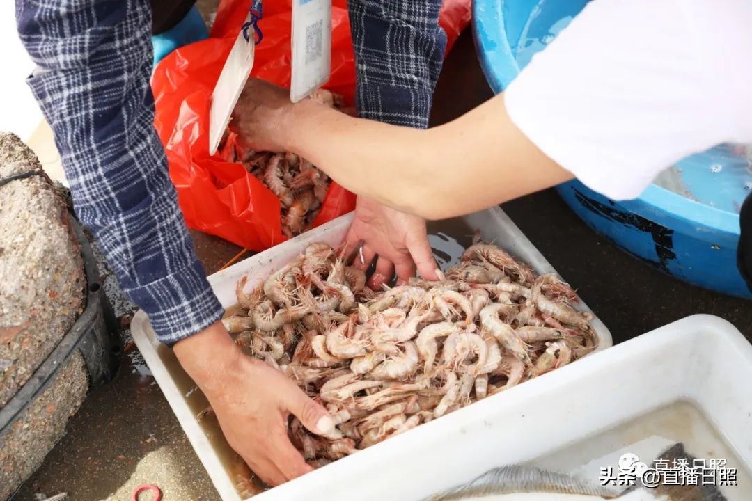 肉质紧实的海虾便宜,肉质嫩价格便宜的海鱼