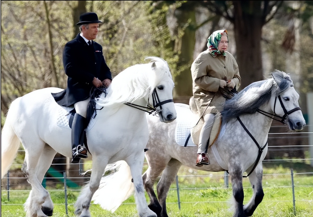 登基70周年！每年一张照片带你回顾女王的传奇人生