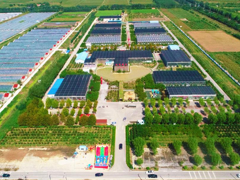 在东营五一假期应该去哪玩,东营人五一旅游攻略自由行