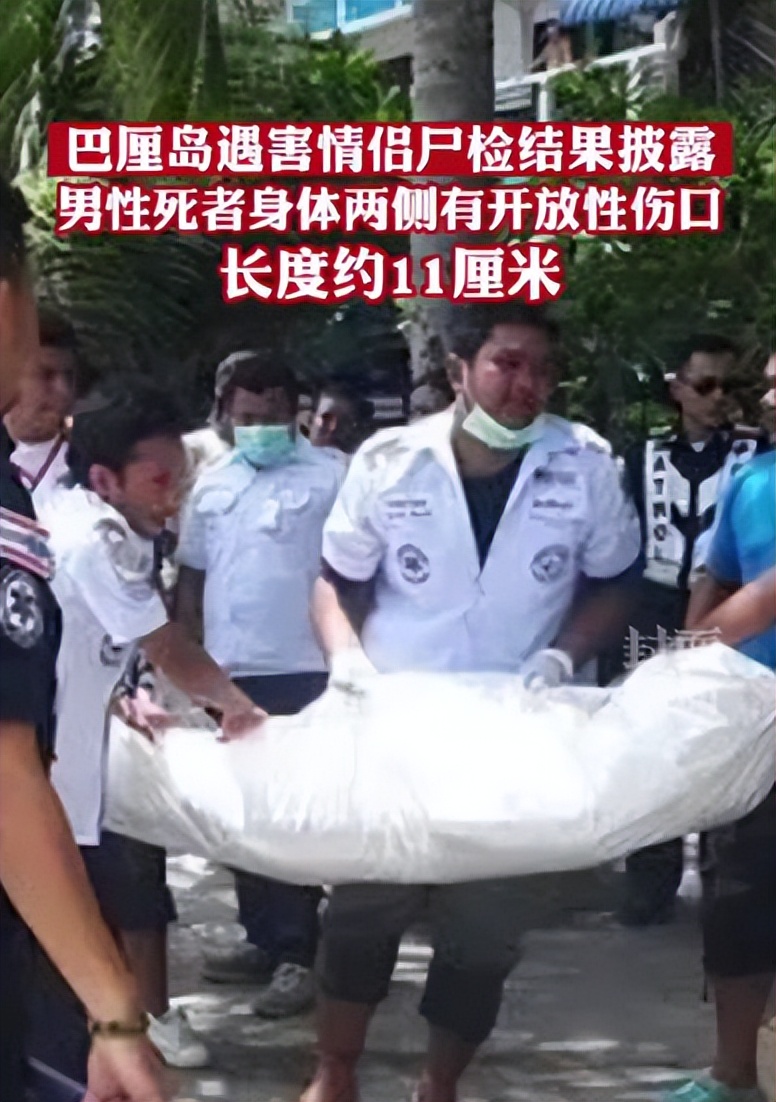 在巴厘岛遇难的一对情侣,巴厘岛遇害情侣聊天记录