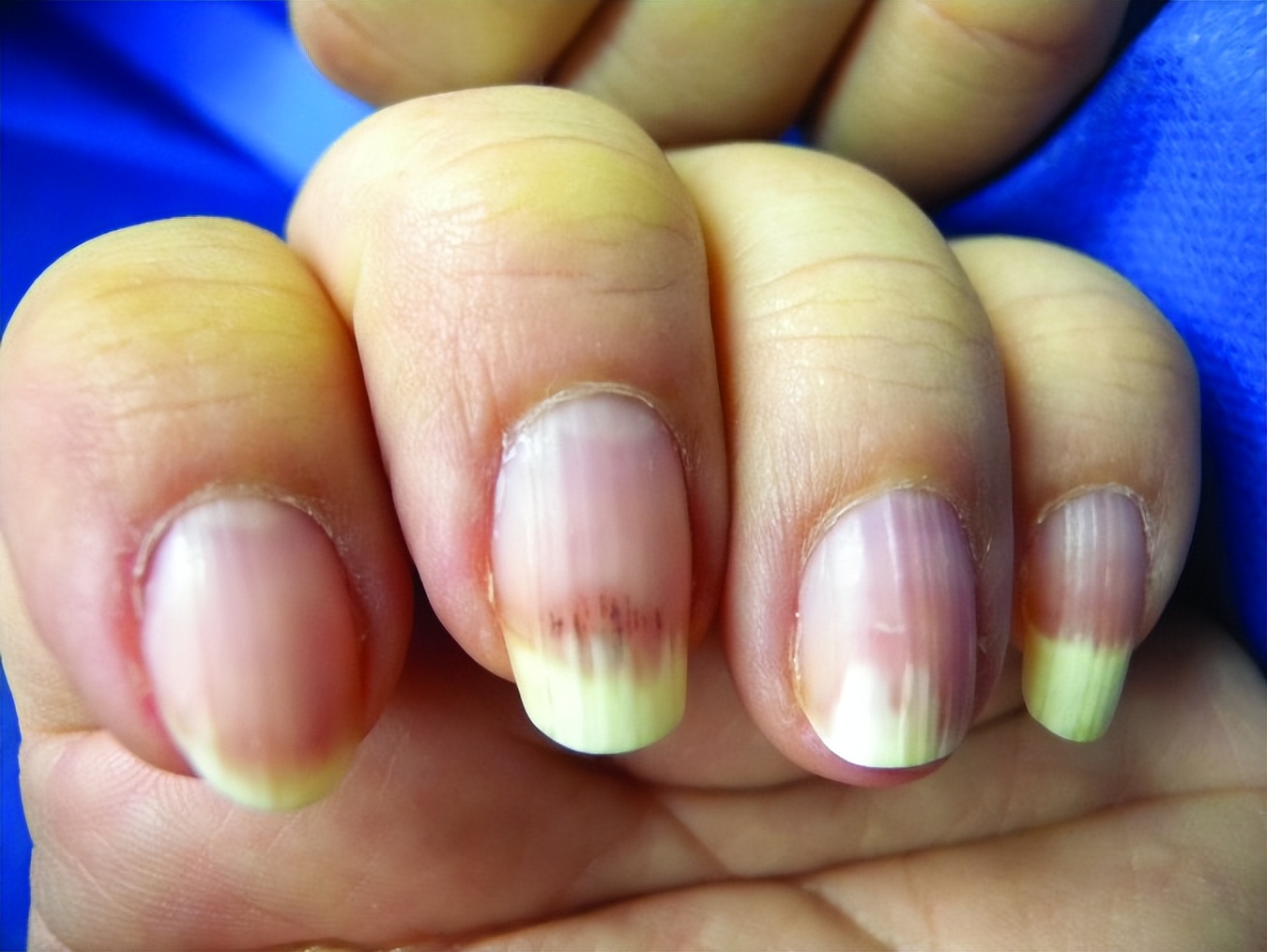 指甲初学者必备工具避坑指南,美容指甲工具