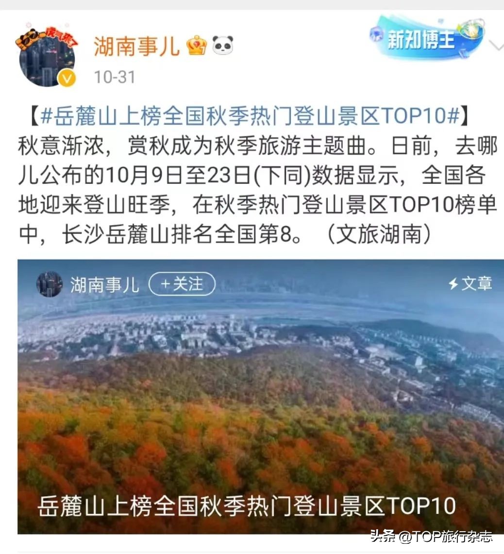 岳麓山赏红叶攻略,岳麓区徒步爬山推荐