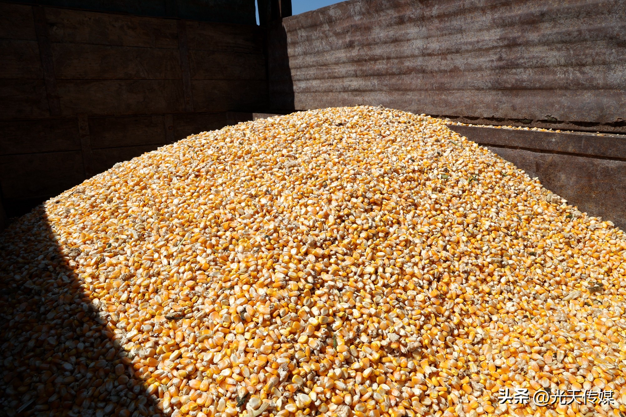 贵州麻江:机械唱“主角”稳粮促增收