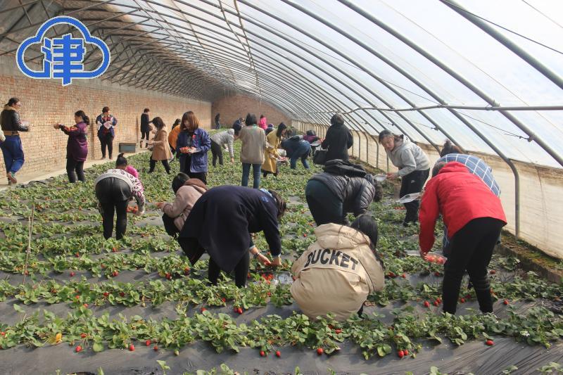 千与千寻,千问千寻大运河武清段