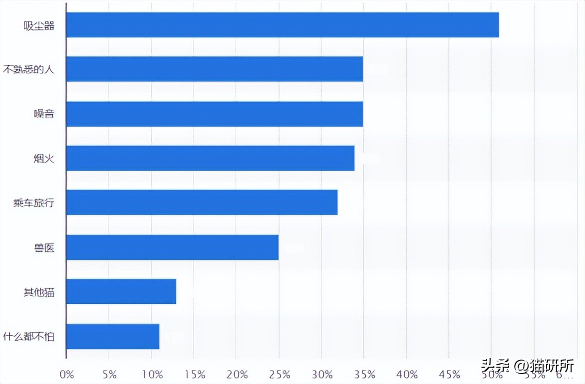 猫咪受惊吓一直舔毛怎么办,猫咪受惊吓得了猫传腹