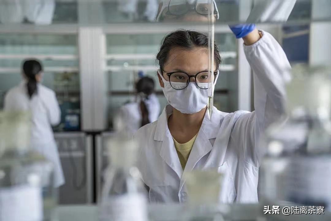 男人喝熟普洱茶的好处,喝普洱茶对痛风有好处吗