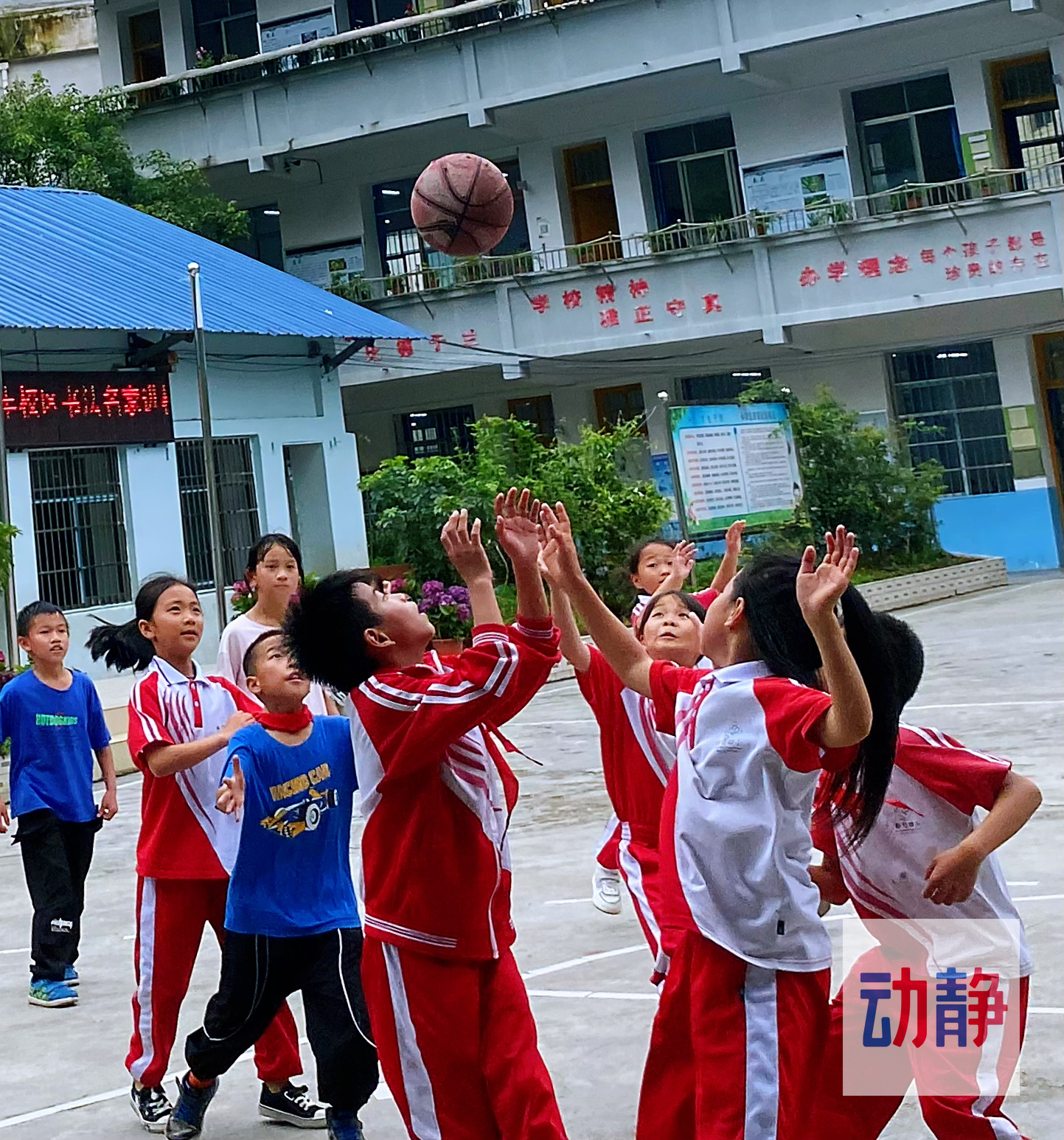 快看！都匀这所小学里有一群“灌篮高手”……