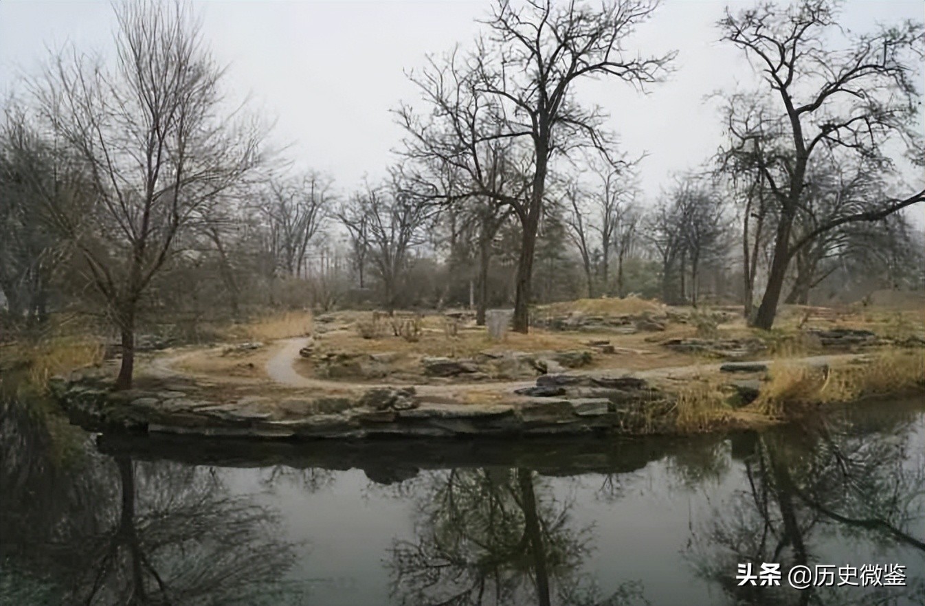 2021年乾隆玉玺被拍卖1.2亿元，玉玺上刻的字，道出雍正继位原因