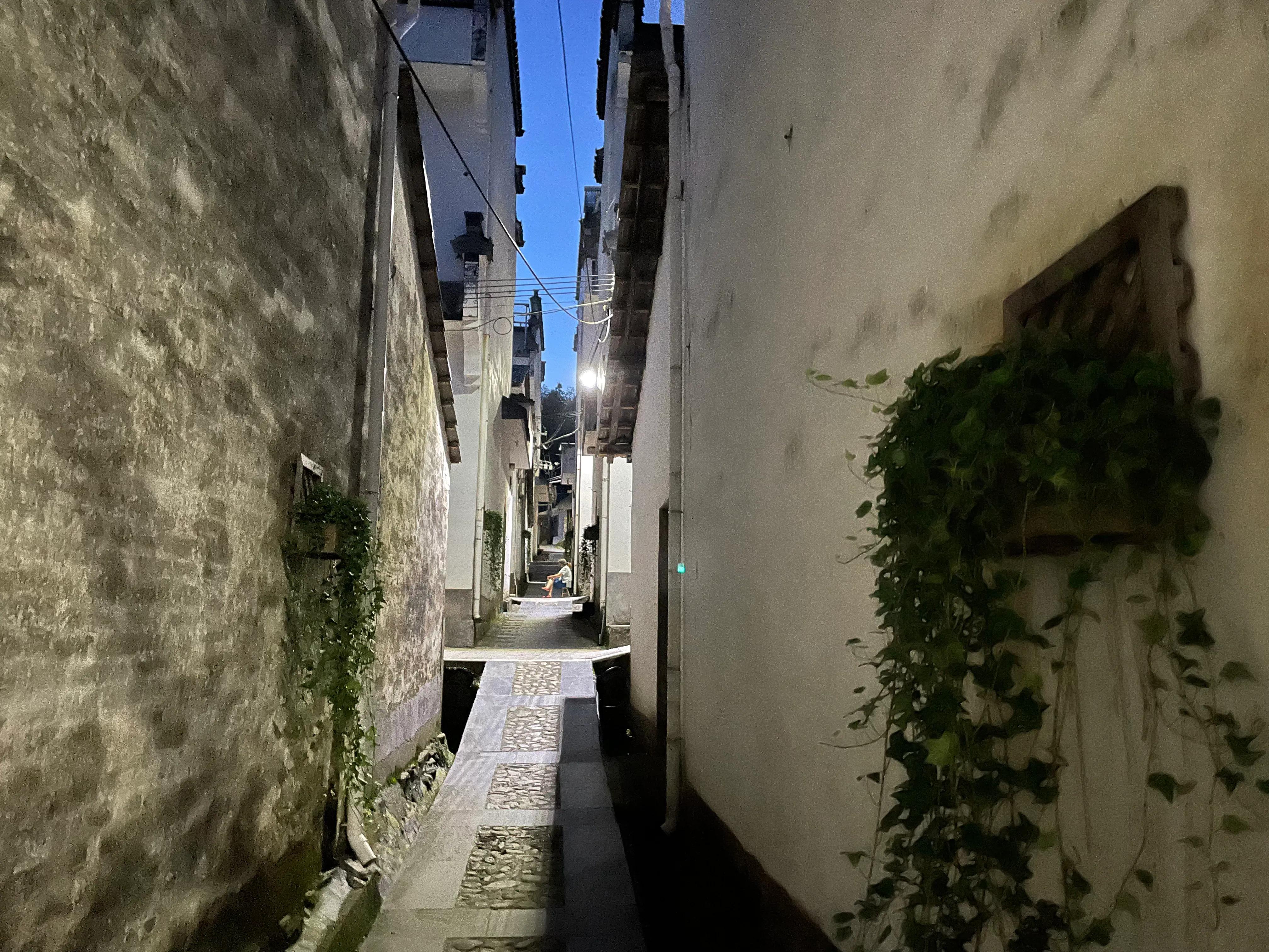 生活中苟且的活着,生活里的苟且