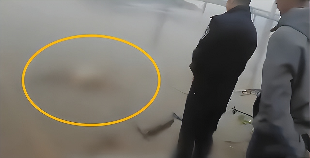 妙龄少女遭侵犯被杀抛尸长江,少女15年前遭奸杀抛尸被告判死缓