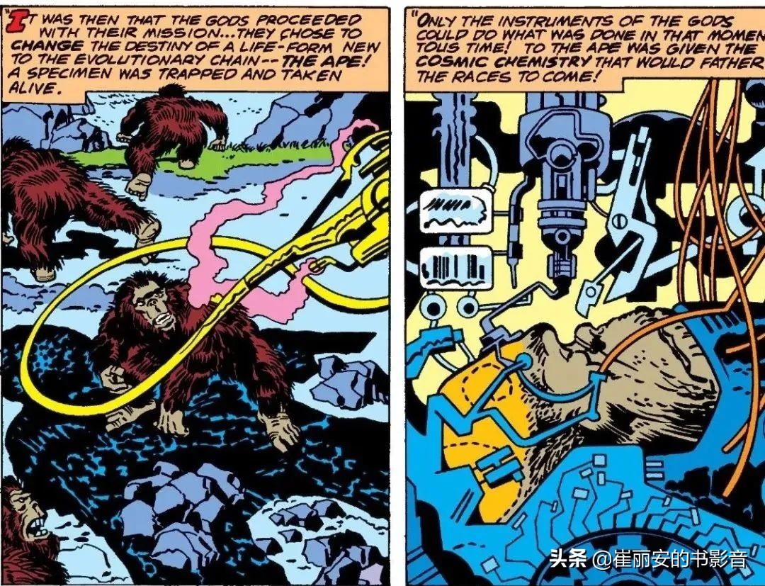 永恒族电影引发巨大争议,永恒族电影评论