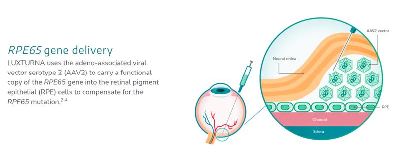 全球药物价格排行榜,美国天价药