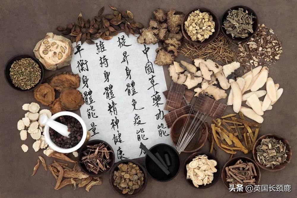 养生大法,养生法