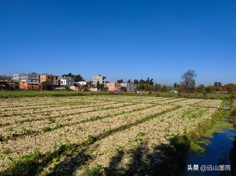 云南昆明滇池小渔村展新颜,滇池边的小渔村