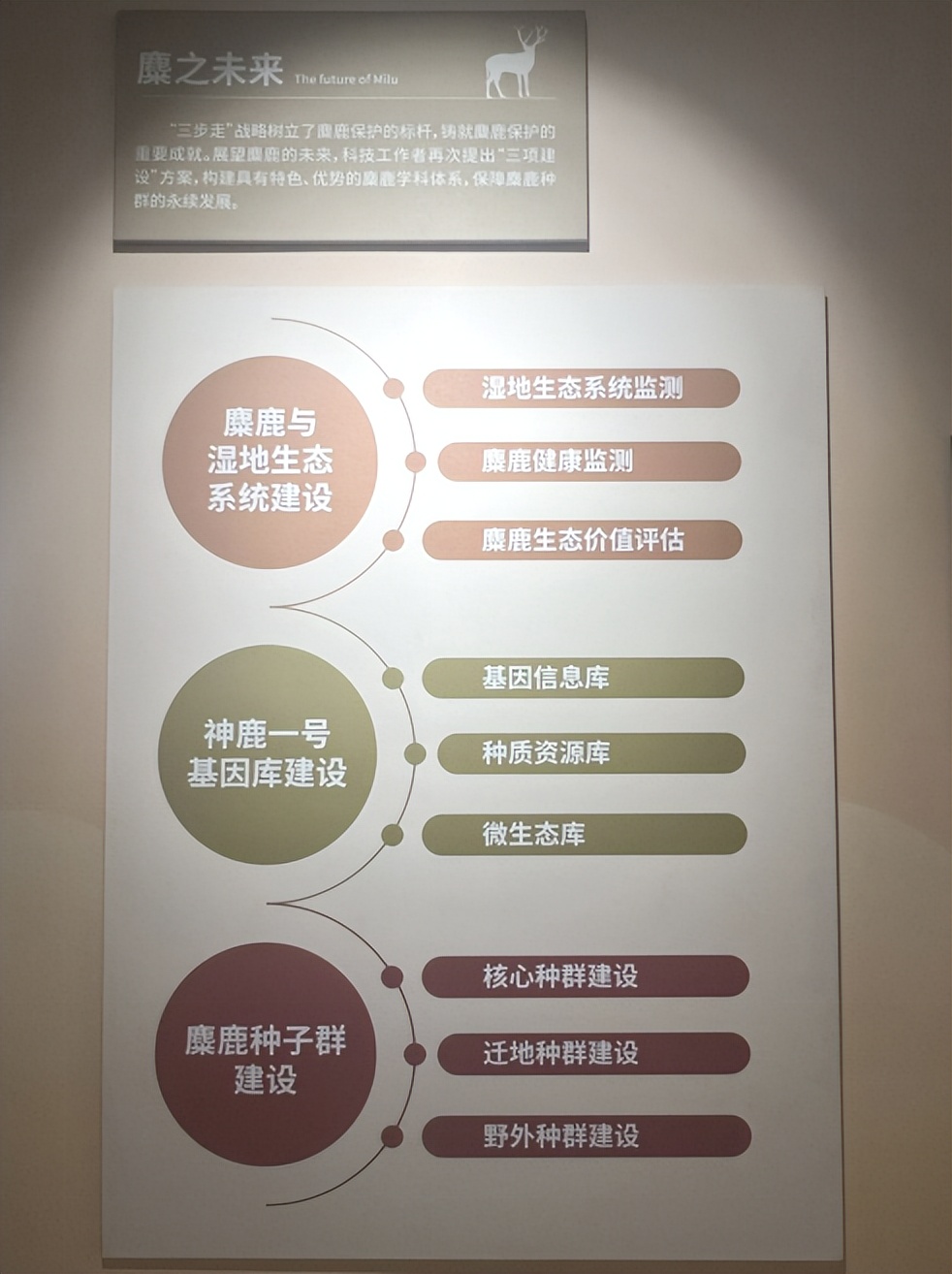 生态环境科普进校园,生态环境保护课程入课堂