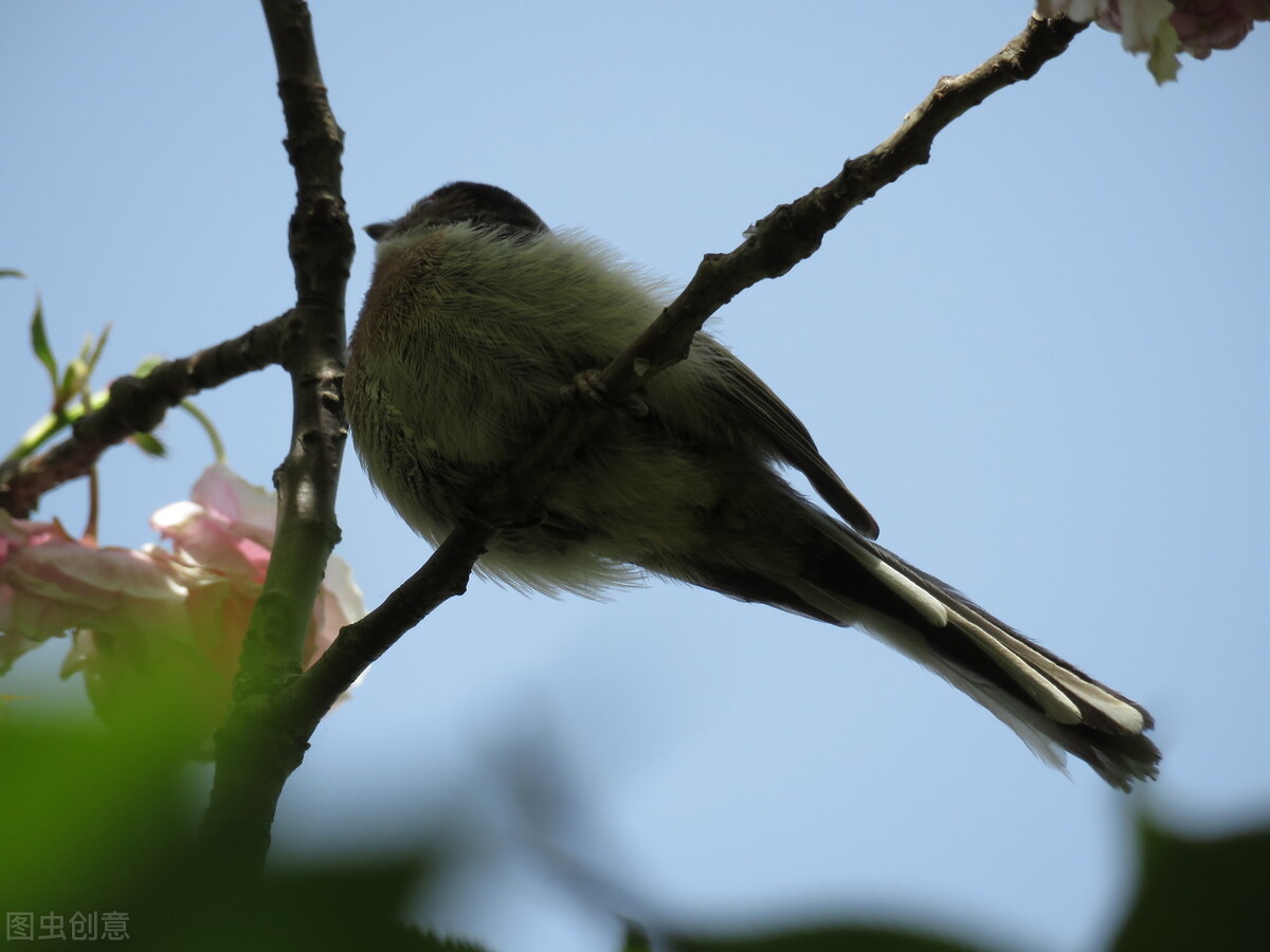 郭进拴走进静升镇,郭进拴原创长篇