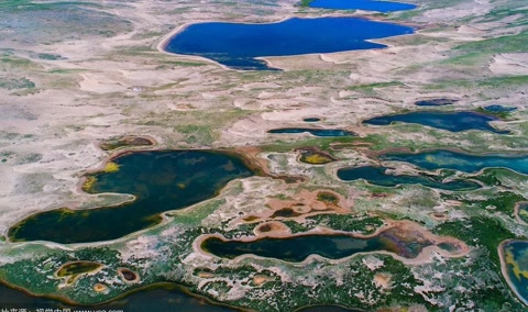 中国在迪拜沙漠试种海水稻的过程,中国在迪拜种植海水稻的有利条件