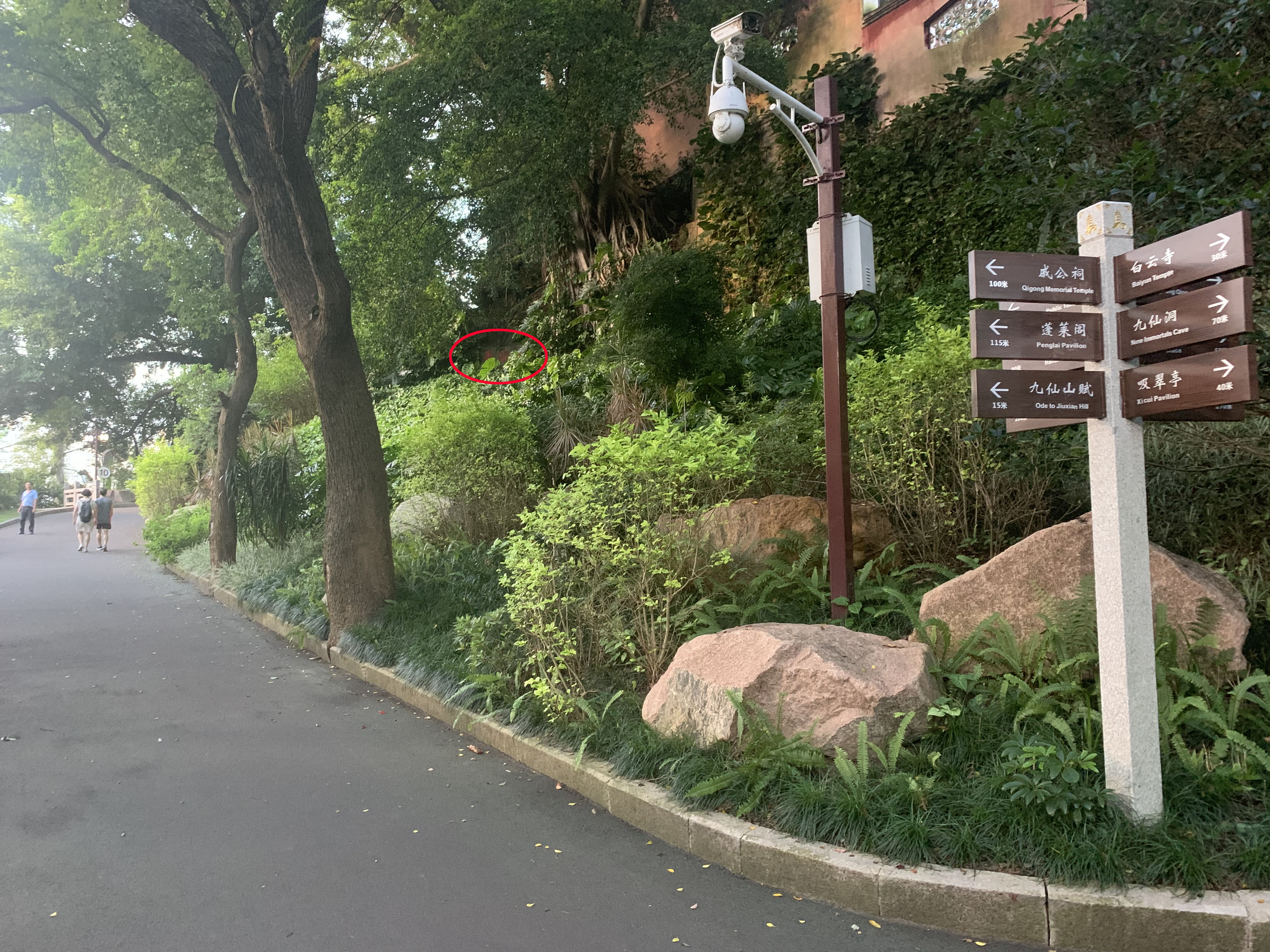 九阴真经神机谷,九阴真经水月洞天