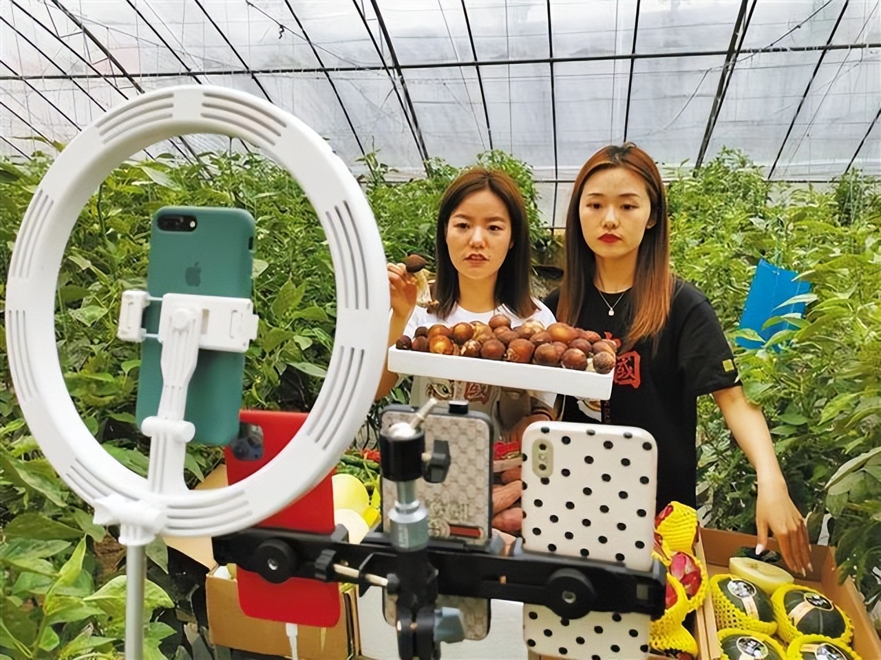 互联网电商直播带货发展规划,互联网农产品直播营销方案