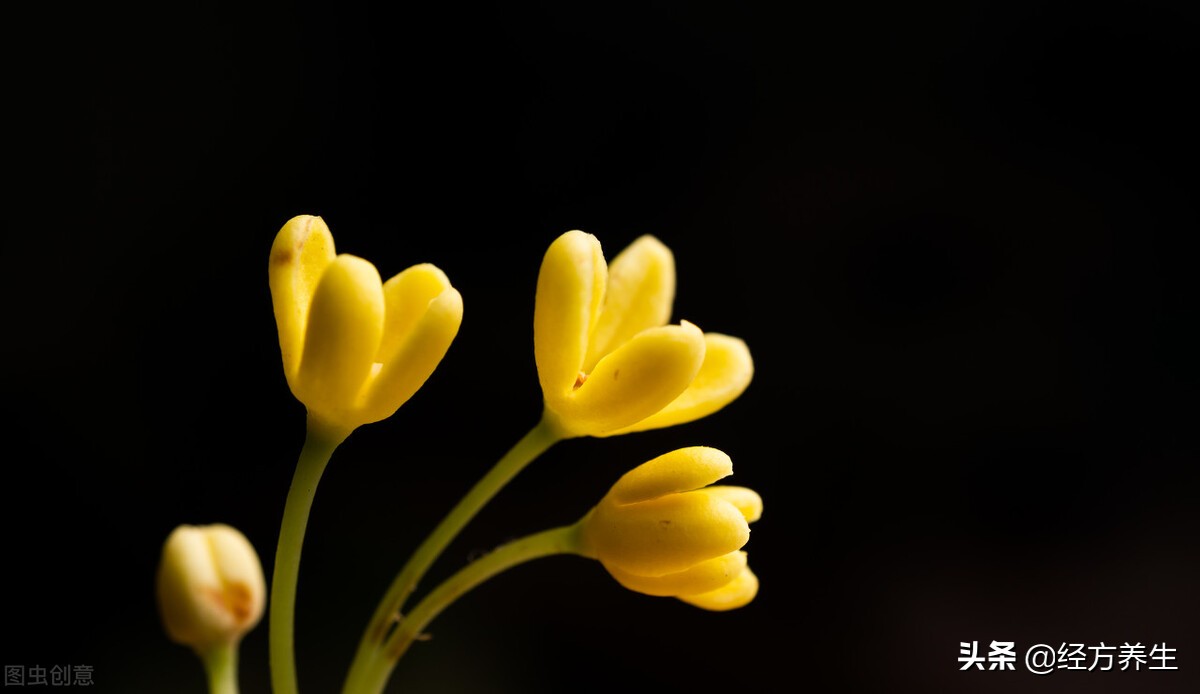 巧合还是天意？几年前治愈的精神病案例反馈到今天的病例上