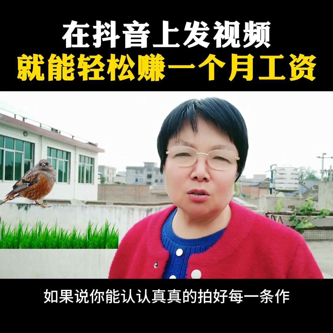 抖音dou+小助手能赚钱吗,抖音dou+小助手有用吗